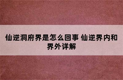 仙逆洞府界是怎么回事 仙逆界内和界外详解